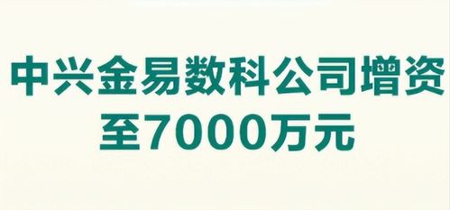 信息技術(shù)咨詢服務(wù) 企業(yè)數(shù)字化轉(zhuǎn)型的智慧引擎