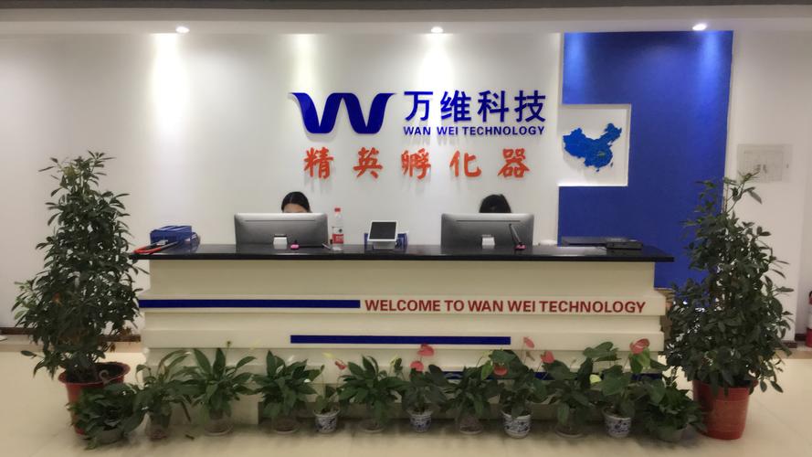 數智領航，賦能未來——武漢萬維速科 專業信息技術咨詢服務的時代之選