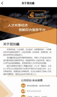 易加鑫 國內(nèi)貿(mào)易代理的崛起與價值探索