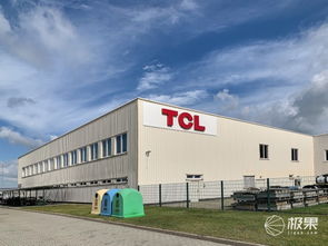 對話王成 TCL如何在2020年躋身歐洲前三，國內貿易代理又扮演何種角色？